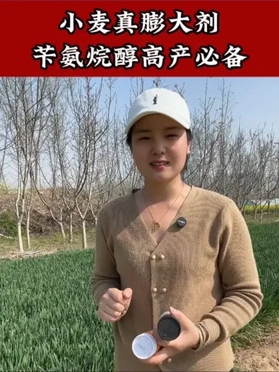 #小麦种植管理技术 #苄氨烷醇#小麦高产技术 #小麦种植