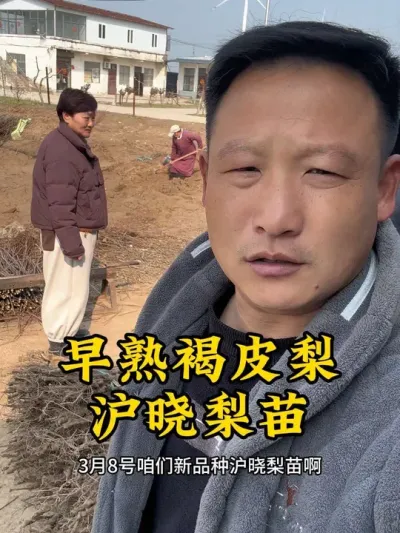 #支持三农扶持三农发展 #抖音助农 #关注我每天为你分享更多农业知识 #分享农业知识帮农民增产增收 #沪晓 @抖音热点 @抖音创作者中心 @抖音小助手