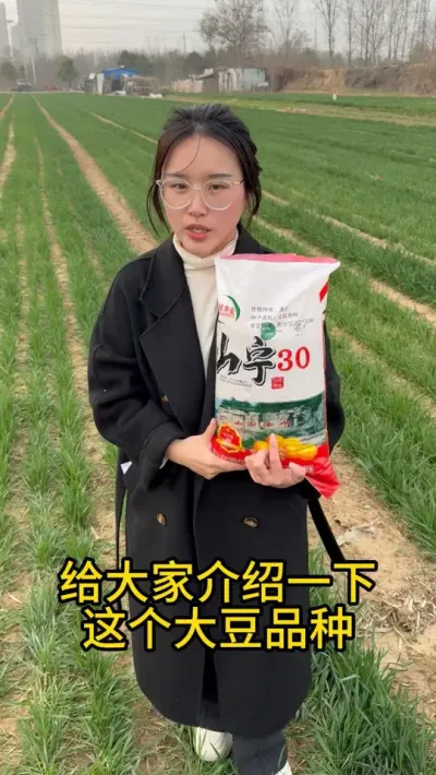 大颗粒高蛋白，亩产700斤不是梦 #高产 #助农 #高产大豆种子 #抖音助农 #高产