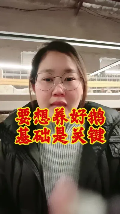 要想养好鹅，基础是关键#养鹅技术分享 #养鹅 #科学养鹅 #养鹅人 #鹅
