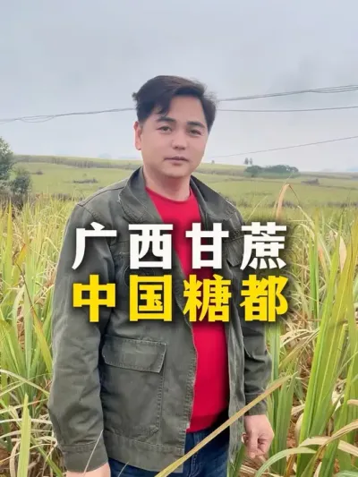 广西甘蔗
中国糖都#甘蔗#甘蔗种植#农业种植#种植小技巧 #三农