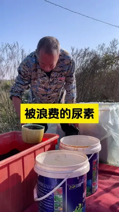 尿素，一种被浪费的肥料！#启明生物大师姐 #农业技术推广 #新农人计划 #农业种植 #科学种植