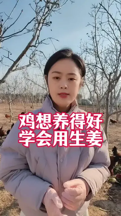 鸡想养得好，生姜不能少#养鸡#鸡鸭鹅养殖#散养土鸡#科学养鸡