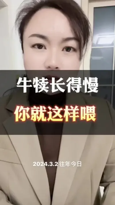 牛犊拉骨架，催肥增重快#养殖户 #肉牛养殖 #全国养牛人 #西门塔尔
