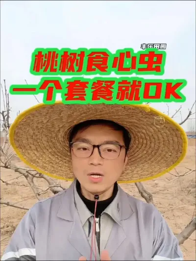 桃树食心虫钻心虫今年一个套餐就OK#桃树食心虫#虫害防治 #桃树管理 #分享农业知识帮农民增产增收 #果园管理