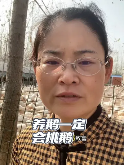养鹅必须会挑鹅#养鹅技术分享 #科学养鹅 #养殖人加油 #养鹅人