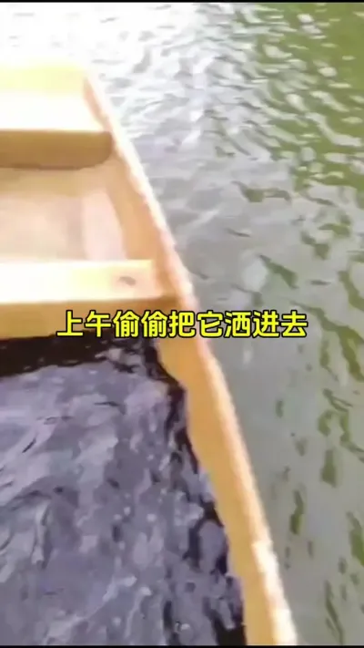 池塘用了它，再也没有寄生虫 #高密度养殖 #水产养殖 #特种水产 #鱼苗 @抖加🔥上热门🔥dou+🔥热点宝