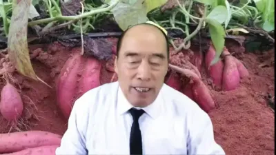 红薯和西瓜的育苗技术##红薯高产种植 #西瓜种植的方法和技术 #红薯高产种植技术 #西瓜种植技术 #西瓜种子种植方法