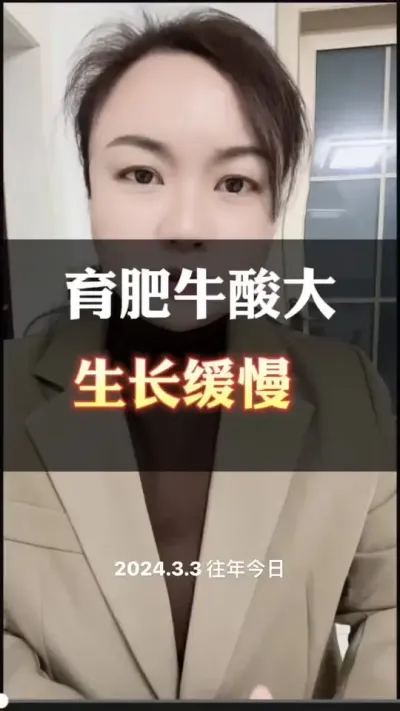 育肥牛酸大，影响牛的生长#养殖户 #肉牛养殖 #全国养牛人 #科学喂养 #西门塔尔