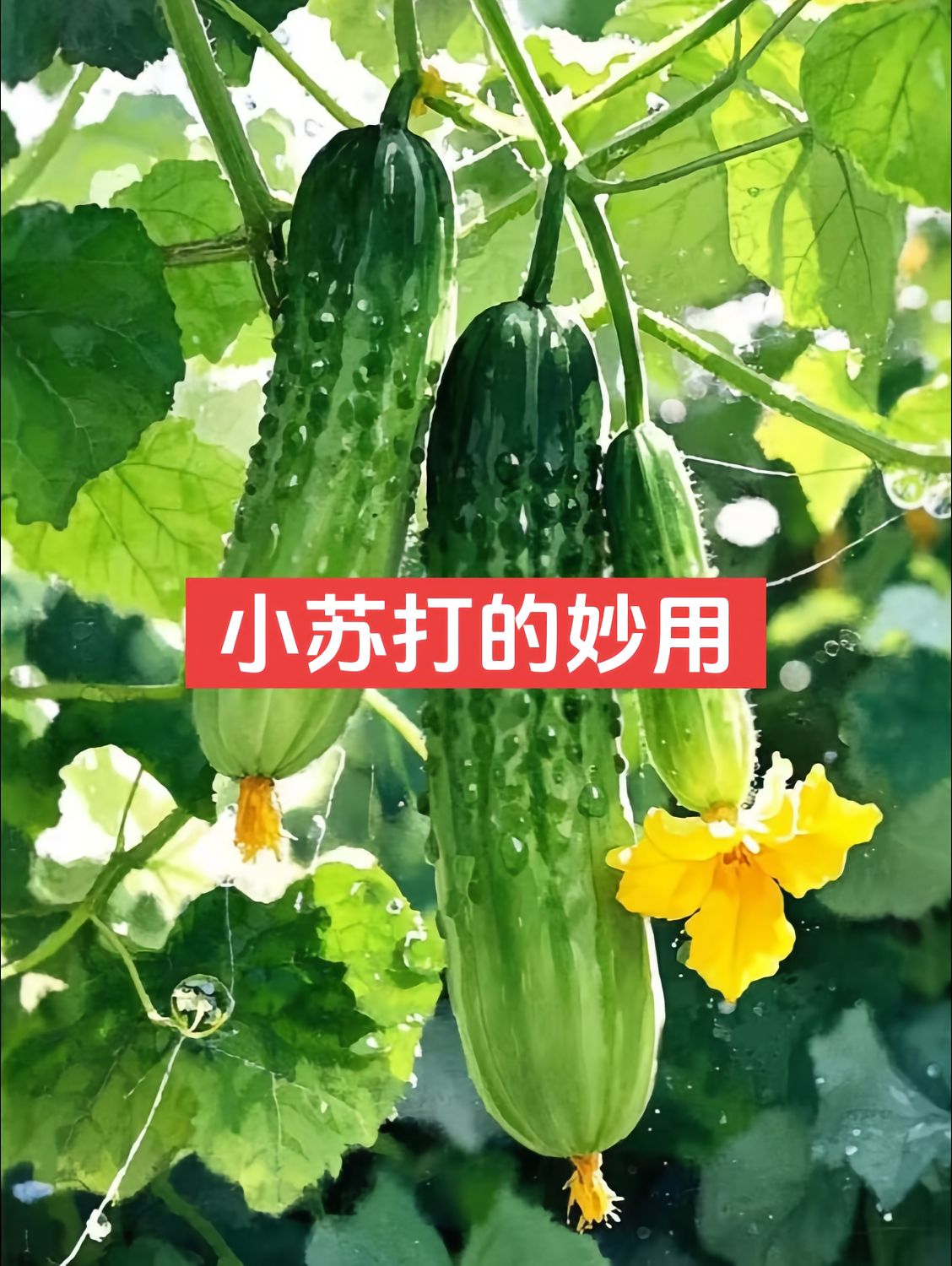 http://static.ixuenong.com/pxn/uploads/prod/thirdfile/2025/05/e5603cf273e52adcc1748e9ba29b9815.jpg