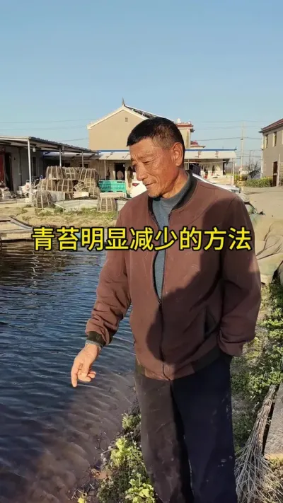 除青苔的方法， #水产养殖 #河蟹养殖 #养蟹