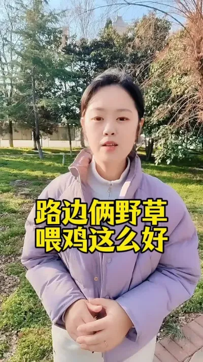 #养鸡#养鸡妙招#科学养鸡#散养土鸡#鸡鸭鹅养殖