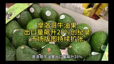 摩洛哥牛油果出口量飙升25%创纪录，市场版图持续扩张#强烈推荐 @云食界展贸服务平台