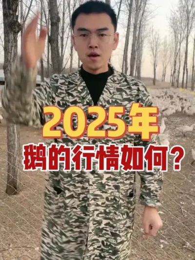 很多养殖朋友想让我预测一下，明年鹅的行情如何？我就说说我的看法！认同的留下你的爱心，不认同的留下你的观点！明年我们拭目以待！#养鹅技术分享 #养鹅人 #鹅苗 #养鹅技术找晓雨
