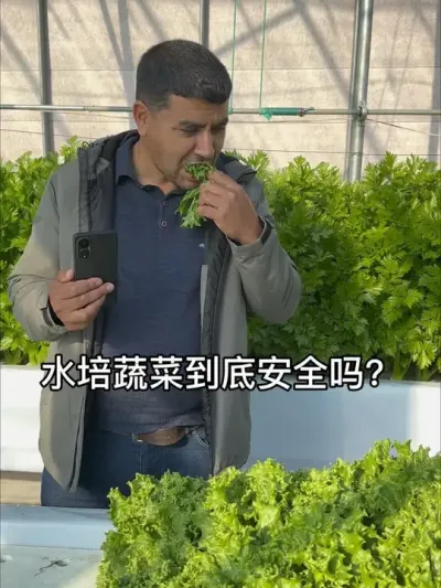 #无土栽培 #水培#蔬菜种植#三农 #寿光
无土栽培蔬菜安全吗？