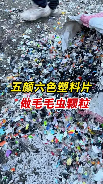 450型颗粒机塑料片做毛毛虫颗粒，再次利用。#颗粒机 #塑料颗粒 #塑料颗粒机
