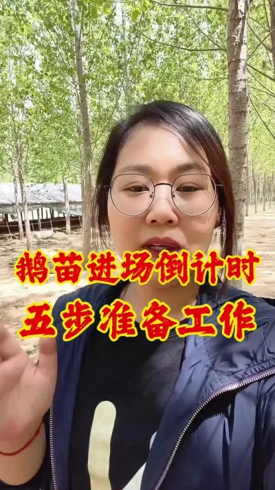 鹅苗进场倒计时，五步准备工作#养鹅 #养鹅人 #养鹅技术分享 #三农 #鹅