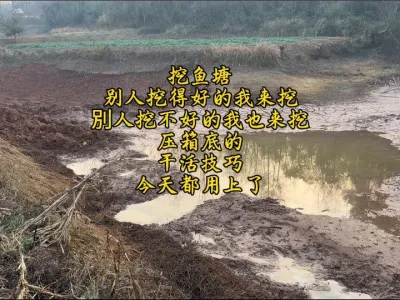 我终于知道了这个鱼塘为什么上一台挖机只挖一半就跑了，今天我压箱底的干活技巧都用上了#挖掘机视频 #现场实拍 #挖鱼塘 #挖掘机 #挖泥清淤