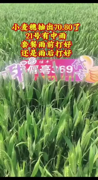 #农业种植 #三农种植 #种地不容易 #服务三农 #农业人