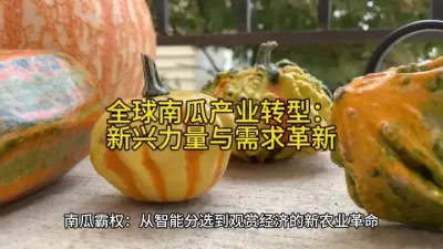 标题：全球南瓜产业转型：新兴力量与需求革新#助力三农 @云食界展贸服务平台