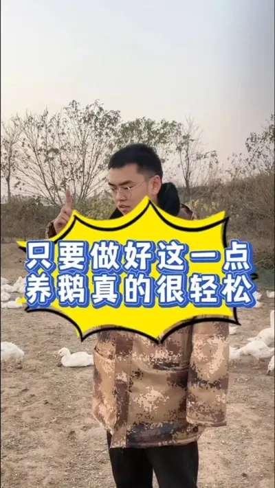 只要做好这一点，养鹅真的很轻松，是哪一点呢？相信99%得养鹅朋友都不知道，我来给您详细讲讲，点赞收藏加关注，别刷着刷着找不到我了。#养鹅技术分享 #养鹅人 #养鹅技术找晓雨 #养鹅