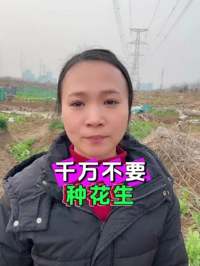 高产花生技巧 #花生种植 #花生拌种剂 #今日三农爆款 #农资优选小刘助农