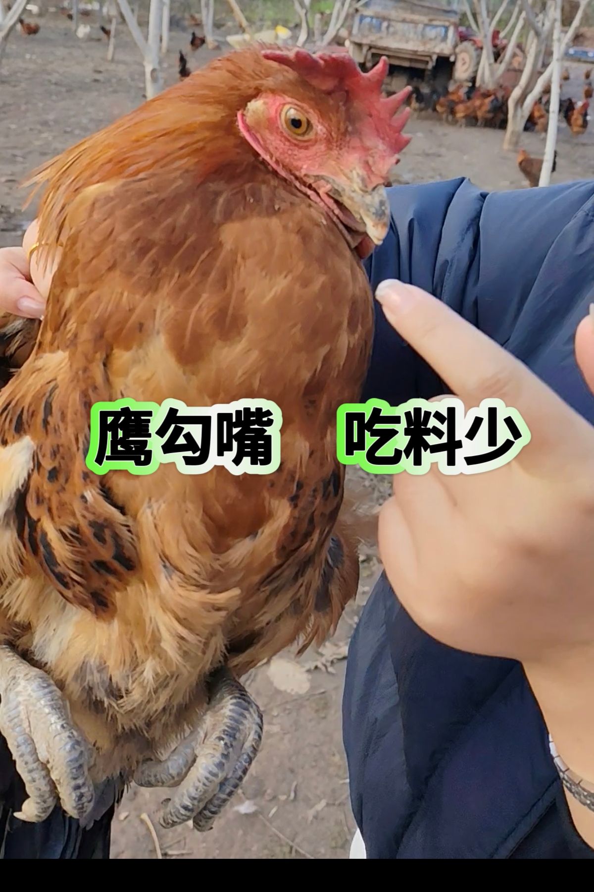 http://static.ixuenong.com/pxn/uploads/prod/thirdfile/2025/05/e85bf6b89da74c8b6168caa710033eaa.jpg