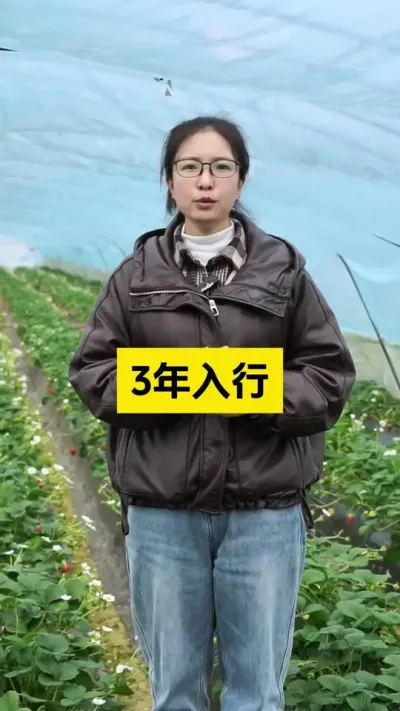 草莓种植3年入行，5年懂行，路漫漫其修远兮，吾将上下而求索！#启明大师姐 #草莓种植 #草莓种植管理技术和方法 #农业种植 #新农人计划