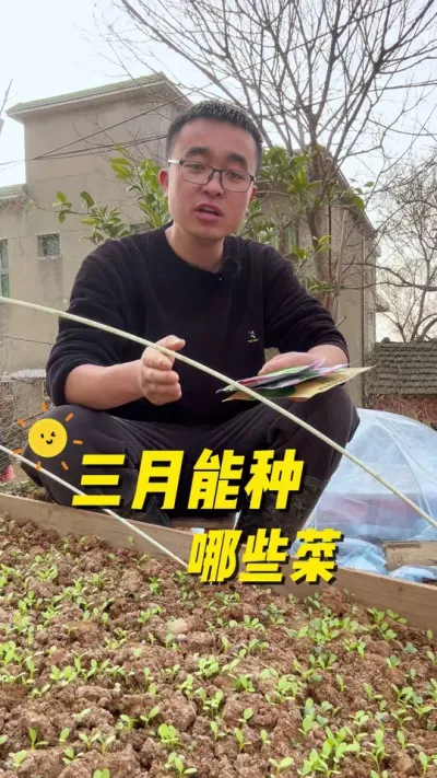 三月能种哪些蔬菜？现在能种哪些菜？#种植小技巧 #关注我一起学种菜 #每天分享蔬菜种植技巧 #阳台种植 #在家种菜