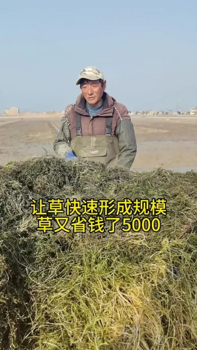 水草 让水草快速形成规模