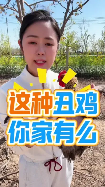 这种丑鸡你家有么 #鸡病防治 #养鸡 #服务三农支持三农 #养鸡人 #鸡鸭鹅养殖