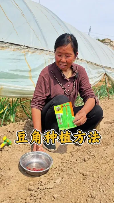 豆角的种植方法，露天的等到清明节前后种#豆角种植 #种植小技巧 #蔬菜种植 #生菜杨姐 @DOU+小助手 @DOU+上热门