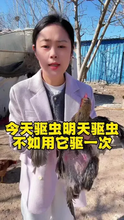 一年驱虫八九次不如用它就一次 #科学养鸡 #养殖小妙招 #鸡病防治 #抖音养鸡人 #服务三农支持三农