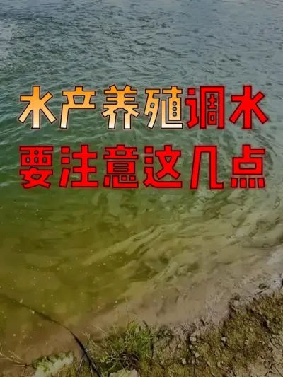 #水产人  看过来！#水产养殖  春季想调控好水质，这几点很关键！#水产养殖技术  #水产