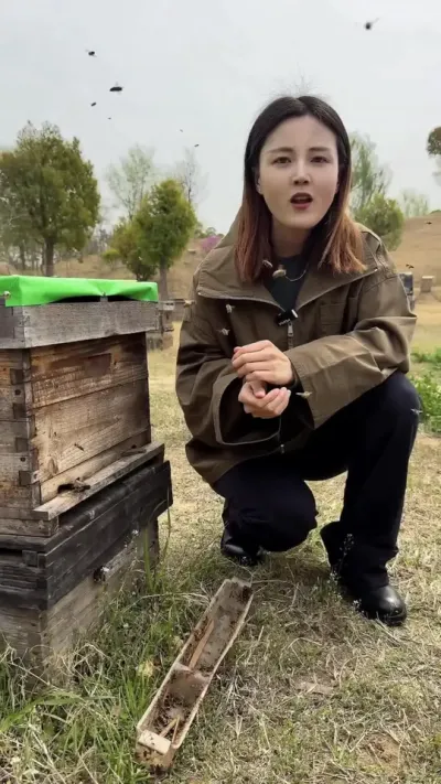 #蜜蜂🐝 #三农 #蜂农 #养殖蜜蜂的技术方法