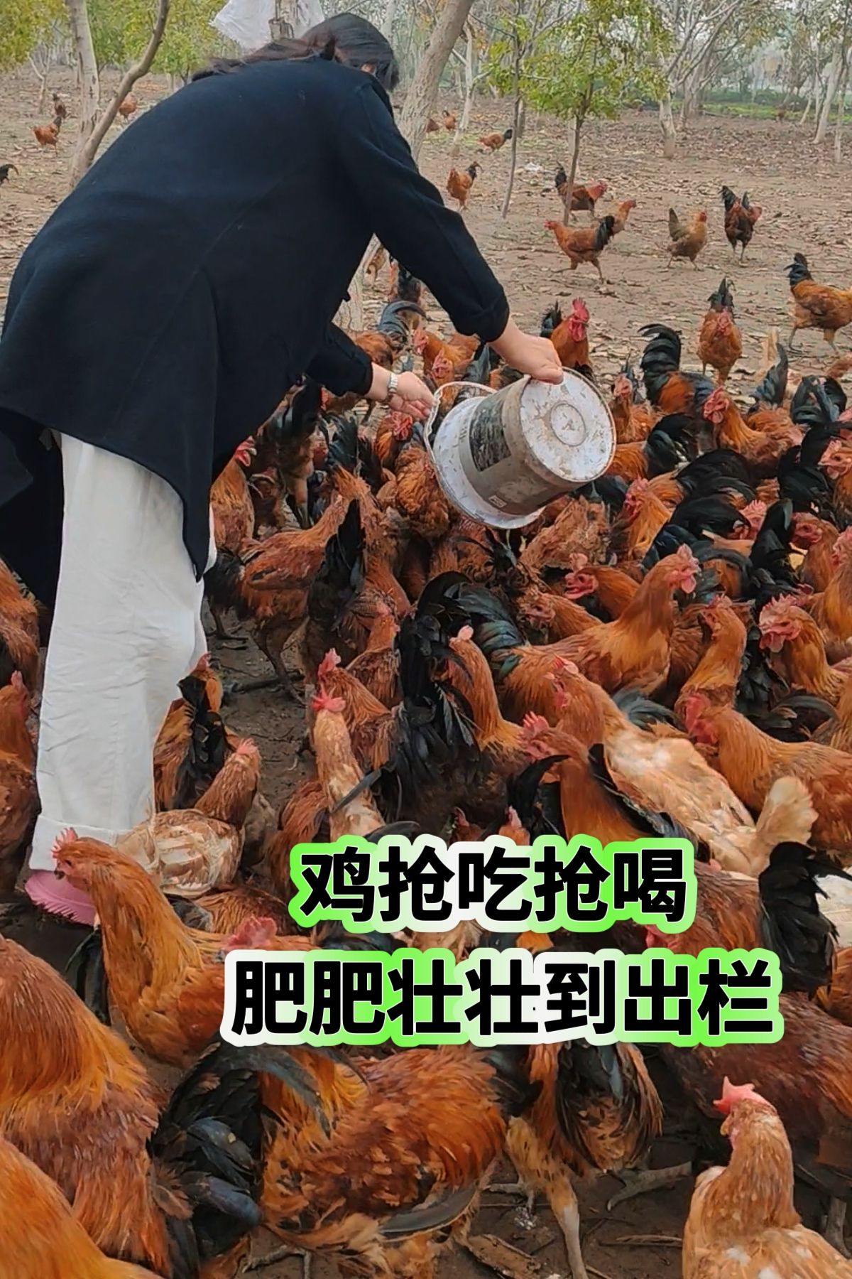 http://static.ixuenong.com/pxn/uploads/prod/thirdfile/2025/05/eadb9146bd6aec03e629eb4b1b82b578.jpg