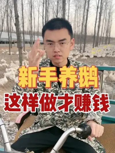 每年都有无数新的朋友加入到养鹅大军中，但很多最后都落个一地鹅毛？为啥，因为你忽略了最重要的这几点！新手养鹅，这样做才能赚到钱！#养鹅技术分享 #养鹅人 #养鹅 #鹅