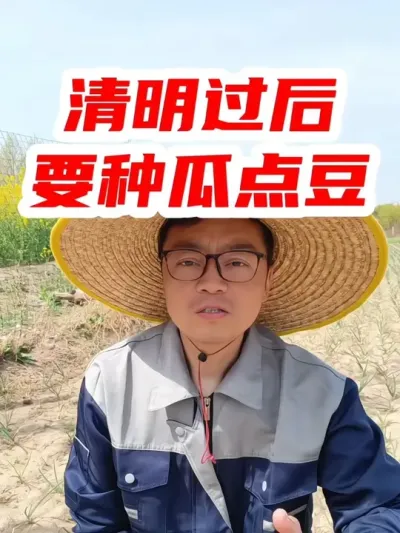 今天四月四日是清明节，看看老一辈说的农业谚语准不准 #清明节 #民间谚语节气 #农业谚语 #清明 #清明时节雨纷纷