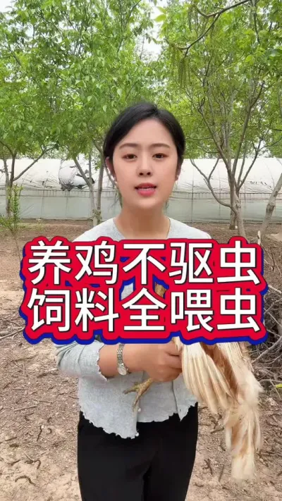 养鸡不驱虫饲料全喂虫#养鸡#科学养鸡#散养土鸡#养鸡妙招#鸡鸭鹅养殖