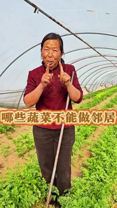哪些蔬菜不能做邻居 哪些蔬菜不能做邻居你觉得对吗#蔬菜种植 #哪些蔬菜不能种在一起 #生菜杨姐 #三农种植 #三农流量扶持计划 @DOU+小助手 @DOU+上热门