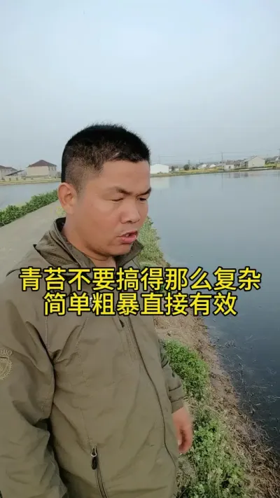 处理青苔 青苔处理方法将就简单粗暴直接有效#青苔 #水产养殖 #河蟹养殖 #养蟹发哥