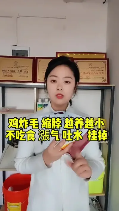 鸡炸毛缩脖你就用它，鸡漲气吐水你就用它，鸡不吃不喝你就用它，鸡越养越瘦你就用它，鸡零星挂掉你还用它，它就是鸡腺肌胄焱专用胄得乐，连用3-5天轻松搞定。就在视频左下角。#鸡病分享 #养鸡#散养土鸡#科学