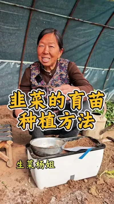 韭菜的育苗种植方法 韭菜的育苗种植方法#韭菜种植 #种韭菜 #韭菜种植方法 #生菜杨姐 #种植小技巧 @DOU+上热门