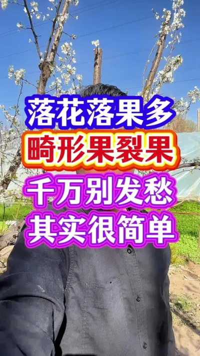 #促花保果 #果树种植 #膨大果实 #抖音助农 #分享农业知识帮农民增产增收