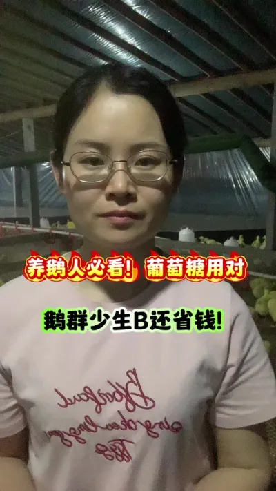 养鹅人必看！葡萄糖用对了，鹅群少生病还省钱！#三农 #养鹅人 #养鹅 #养鹅技术分享 #养鹅技术