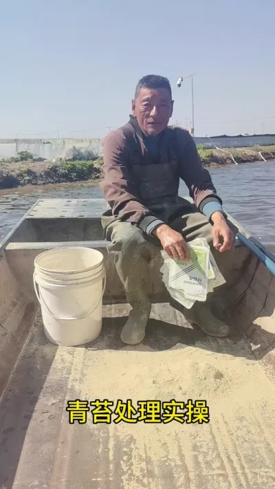 处理青苔实际操作，不伤蟹苗好和好草 #水产养殖 #河蟹养殖