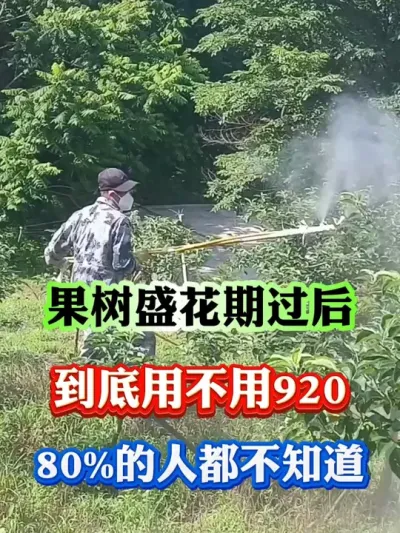 果树谢花八九成，打十次920也不如用它打一次#果树种植 #果树 #果树管理 #果园管理