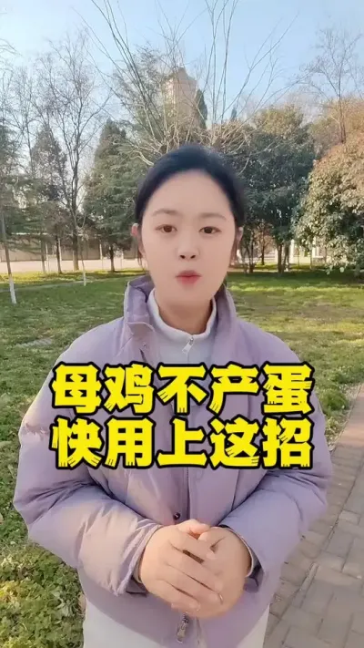 #养鸡#鸡不下蛋#散养土鸡#鸡鸭鹅养殖#科学养鸡