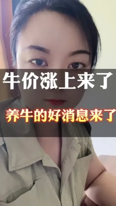 养牛人的春天来了，加油#肉牛养殖 #全国养牛人 #养殖户 #科学喂养 #西门塔尔