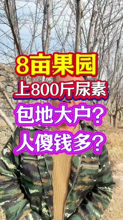 #促花保果 #保花保果 #促花肥 #分享农业知识帮农民增产增收 #抖音助农